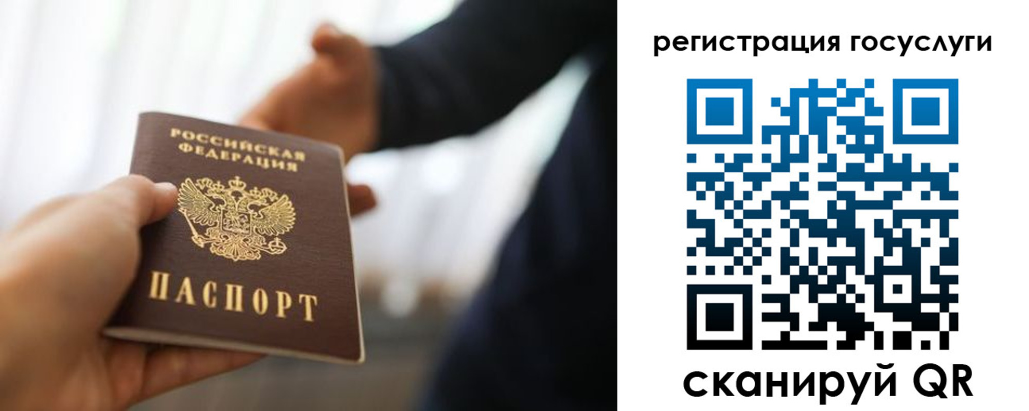 прописка в Белореченске